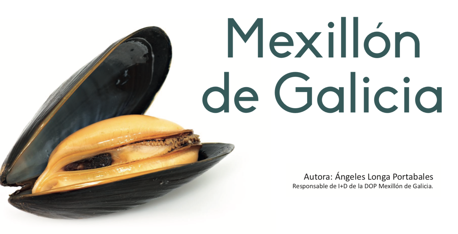 Mexillón de Galicia