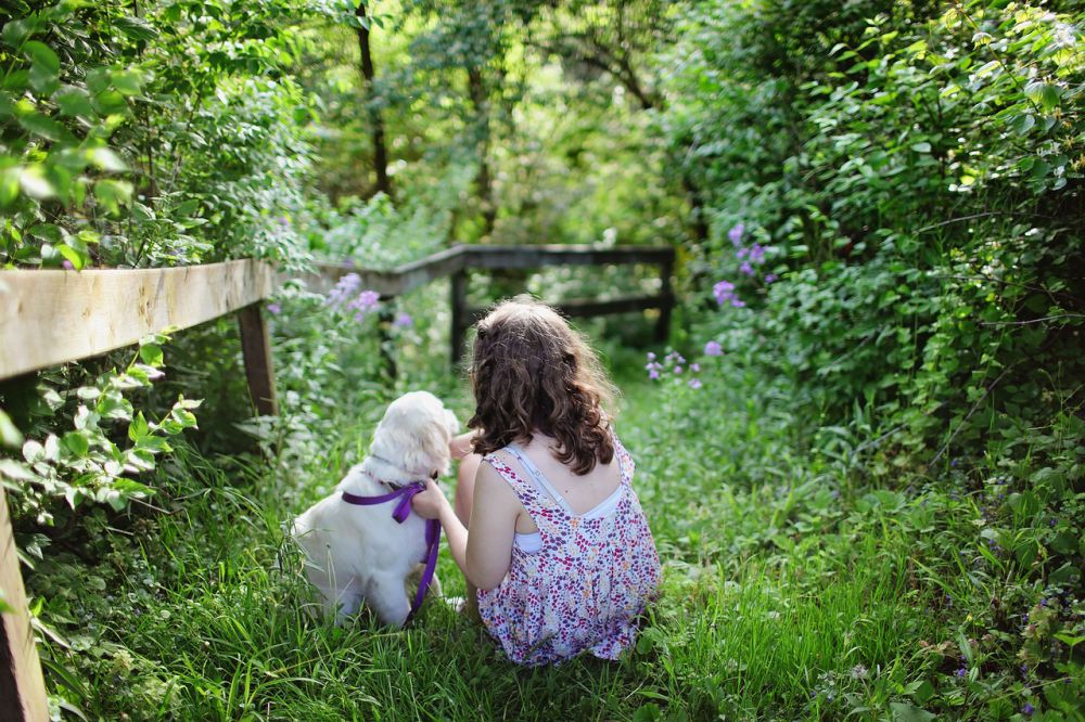 Los beneficios de la adopción de mascotas para los niños