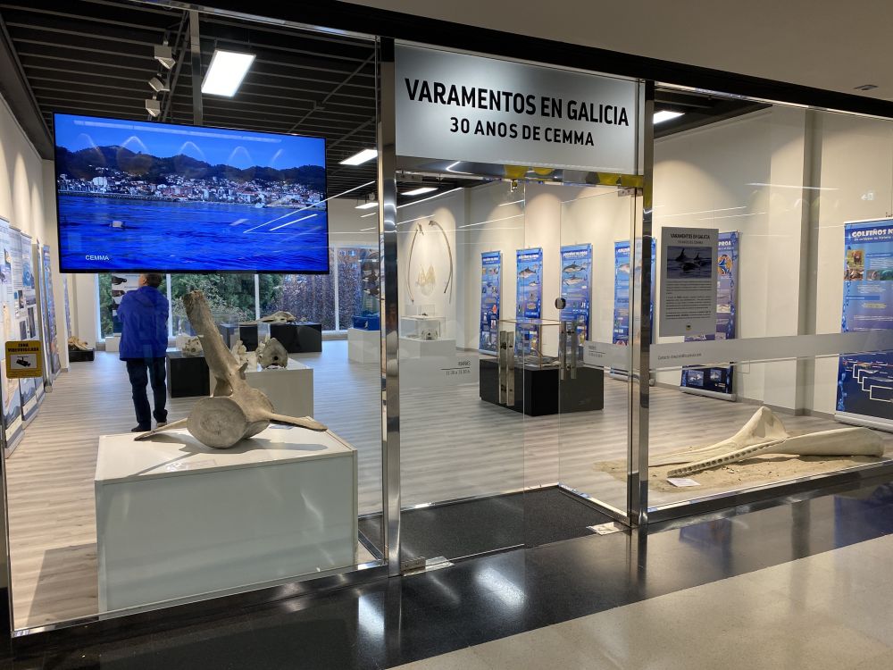 Sala de exposiciones del Centro Comercial Arousa