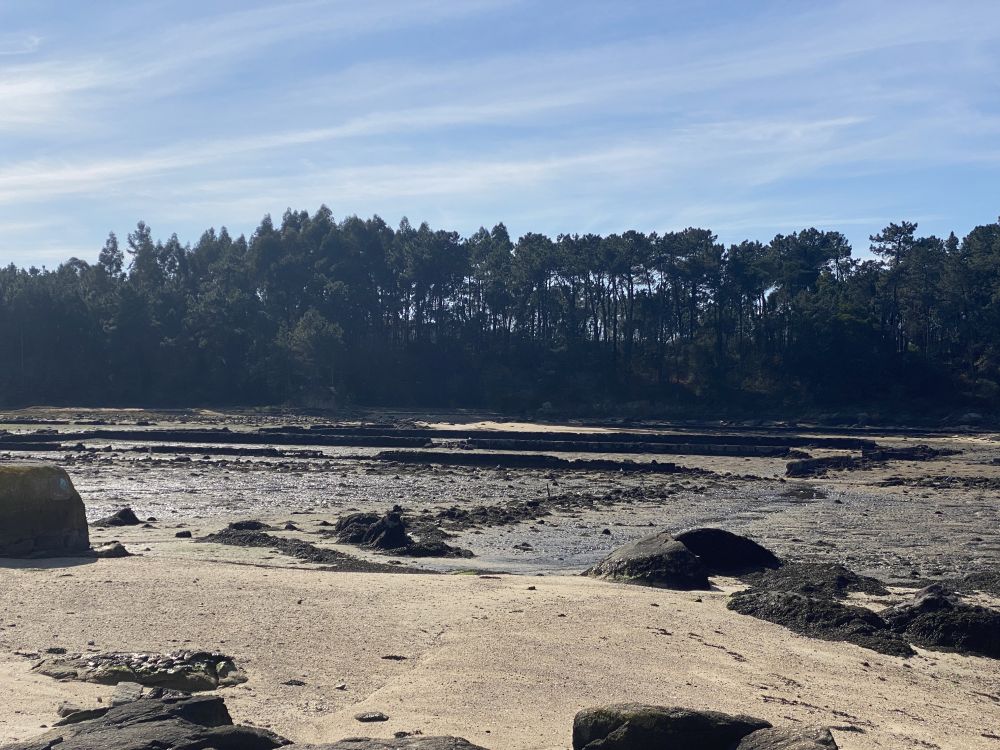 La salinas de Vilaxoán