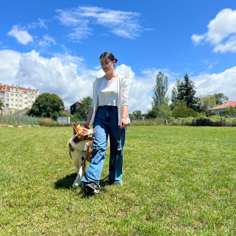 EDUCACIÓN Y ADIESTRAMIENTO CANINO EN VILAGARCÍA