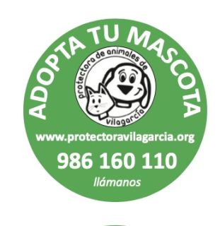 Adopta Tu Mascota en Vilagarcía Primavera 2026