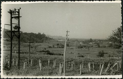 Meaño nos anos 50