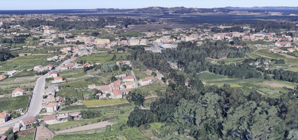 Castro de Dena