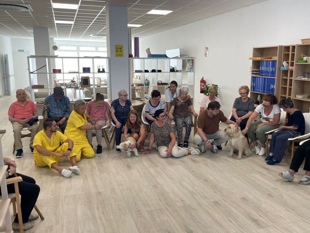ACADOG - Asociación Canina do Grove